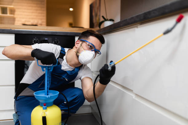 Best Mosquito Control Services  in Angwin, CA