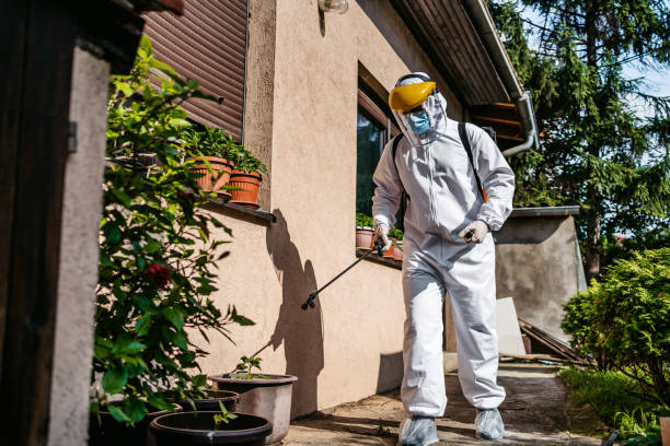 Pest Control Cost in Angwin, CA