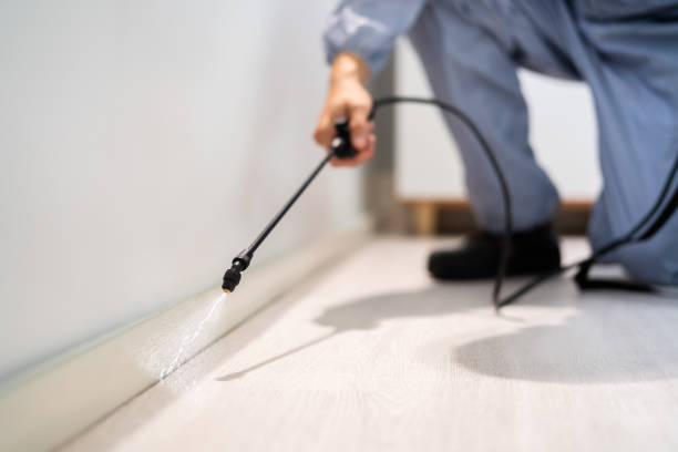Best Cockroach Control Services  in Angwin, CA