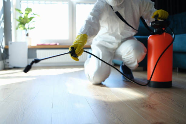 Pest Prevention Services in Angwin, CA