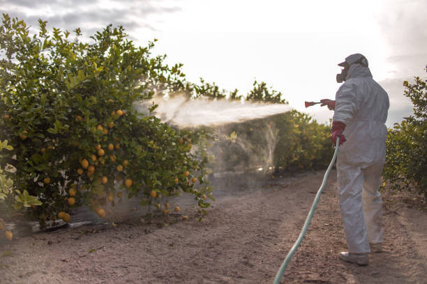 Best Exterminator Services  in Angwin, CA
