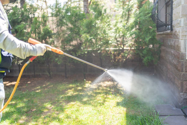 Trusted Angwin, CA Pest Control Experts