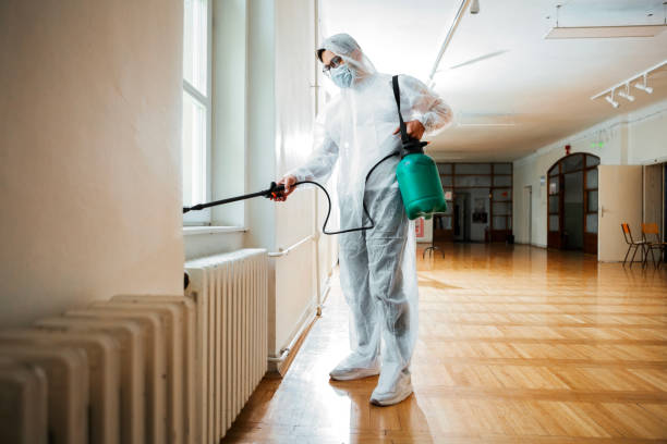 Best Termite Control Services  in Angwin, CA