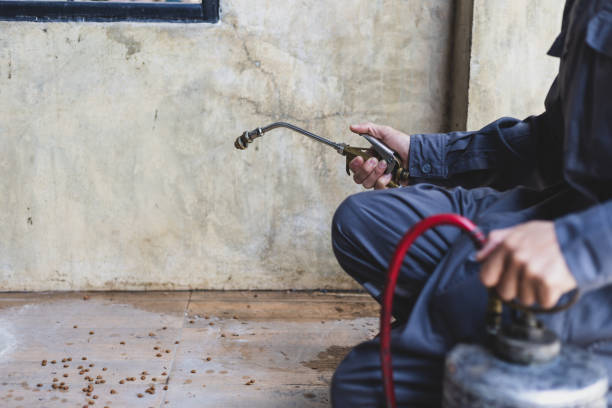 Best Exterminator Services  in Angwin, CA